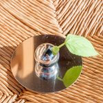 xp3-dot-us_DSC_3353 (Fig Tree)