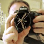 xp3-dot-us__DSC8622 (What’s next?)