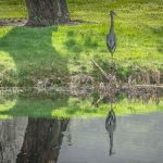 xp3-dot-us__DSC3799 (I AM Spirit/Awareness)