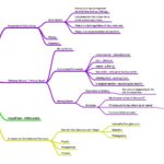 MentalConfetti-mindnode-08-18-2018 (About This Website)