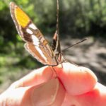 xp3-dot-us_L1010363 (Greeting Cards)