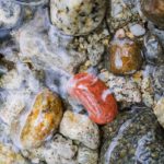 _FilePane-xp3-dot-us_L1000646 (The G-word…)