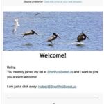 New Subscriber (Bible Here &&nbsp;Now)