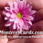 bCard Front 1 (ToDoList.Studio)