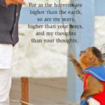 xp3-dot-us_DSC_3935 monterey monkey 4×6 (I AM, the Lord, your God)