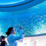 xp3-dot-us_DSC_4545 (Mr. Jesus..? I AM with you always!)