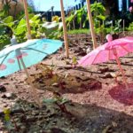 xp3-dot-us_L1030629-Edit (Disclaimer)