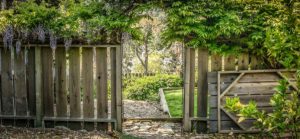 xp3-dot-us__DSC0007 (Mr. Jesus..? I AM with you always!)