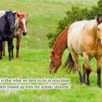 xp3-dot-us__DSC4588 horses, artistic element (Earth, World & Kingdom)