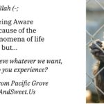 God-Christ-Satan (Bible Blah Blah?)