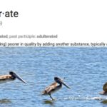 adulterated_ (Adultery, Really?)