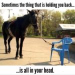 horse tied to chair (Heart Reflects The True Wo/Man)