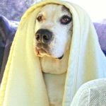 xp3-dot-us_CIMG0570 (Houston, we believe we have a problem!)