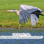 For the Truth’s sake, which dwelleth in us, and shall be wih us forever. (Serving Two Masters)