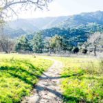 xp3-dot-us_L1000390 (I AM the Truth)