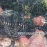 xp3-dot-us_L1000899-Edit (BE you renewed)