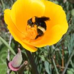 xp3-dot-us_L1000965 (Letters to Tessa)