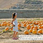 xp3-dot-us__DSC0833 girl posing (Christ-mess or Christmas?)