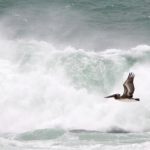 xp3-dot-us__DSC1481-Edit (I AM the Truth)