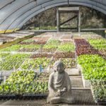 xp3-dot-us__DSC2088 (I AM the Truth)