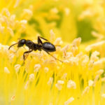 xp3-dot-us__DSC2432-Edit (Houston, we believe we have a problem!)