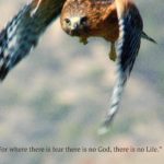 for where there is fear there is no God, there is no Life (Believe And Hope)