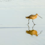 xp3-dot-us__DSC3524 (All Things Are Yours)