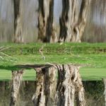 xp3-dot-us__DSC3816 (Heart Reflects The True Wo/Man)