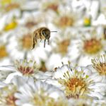 xp3-dot-us__DSC7498 (Quiet Confidence)