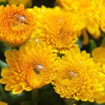 xp3-dot-us__DSC7509 (God IS Love)