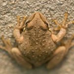 xp3-dot-us__DSC7774 (whatsoever is not of faith is sin)