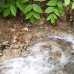 xp3-dot-us_DSC_7681 (The trap of language)