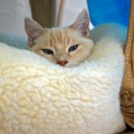 xp3-dot-us_DSC_1923 (you are worried and upset about many things.)