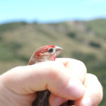 xp3-dot-us_DSC_2038 (1) (This is the day which the LORD hath made)