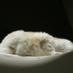 xp3-dot-us__DSC4915 (You close your eyes and see darkness)